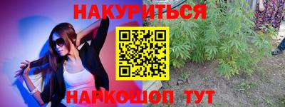 индика Тверь