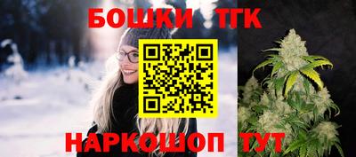 индика Тверь