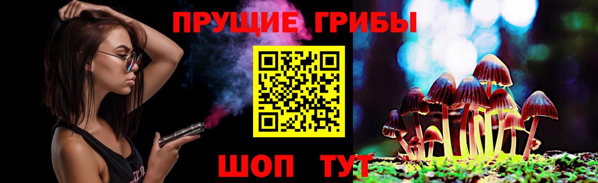 Новочебоксарск  купить   Вход с VPN  Псилоцибиновые грибы Psilocybe  Псилоцибиновые грибы прущие грибы 